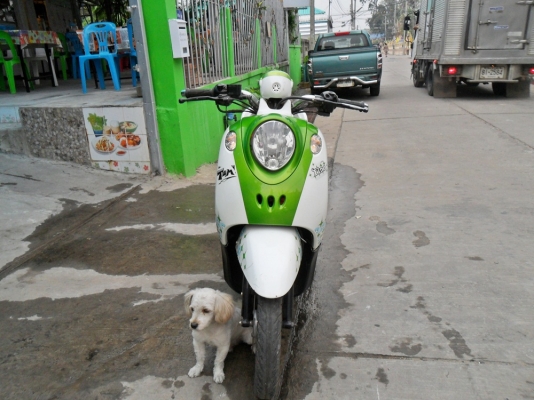 ฟีโน่ ปี53 เอกสารพร้อมโอน ฟีโน่ ปี53 เอกสารพร้อมโอน