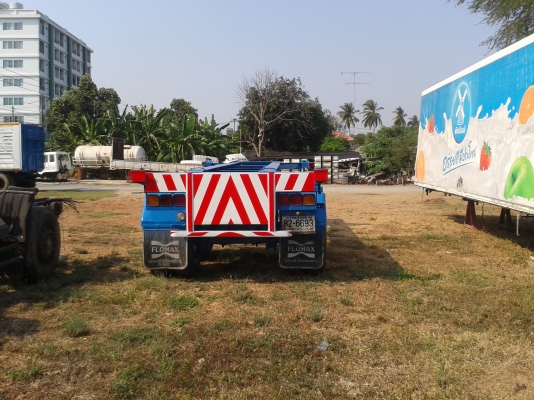 หางก้างปลา หางก้างปลา