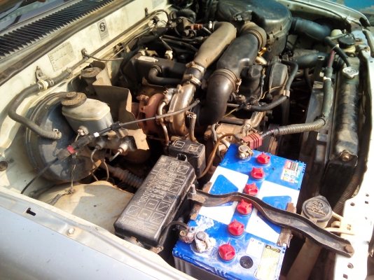 ไทเกอร์D4Dคอมมอนเรลว์ พร้อมใช้