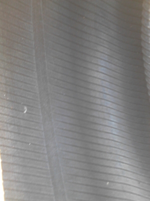 255/65R17 BRIDGESTONE DUELER H/T 840 ปี2012 มี 1 เส้น  TEL.081-427-3941