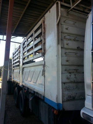 ขายกะบะไม่ดัมพ์3มิตรยาว6เมตร สนใจติดต่อได้ที่ 085-3635720 ขายกะบะไม่ดัมพ์3มิตรยาว6เมตร สนใจติดต่อได้ที่ 085-3635720