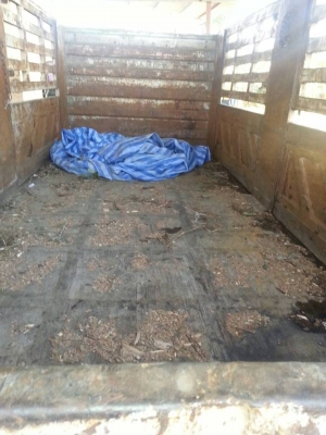 ขายกะบะไม่ดัมพ์3มิตรยาว6เมตร สนใจติดต่อได้ที่ 085-3635720 ขายกะบะไม่ดัมพ์3มิตรยาว6เมตร สนใจติดต่อได้ที่ 085-3635720