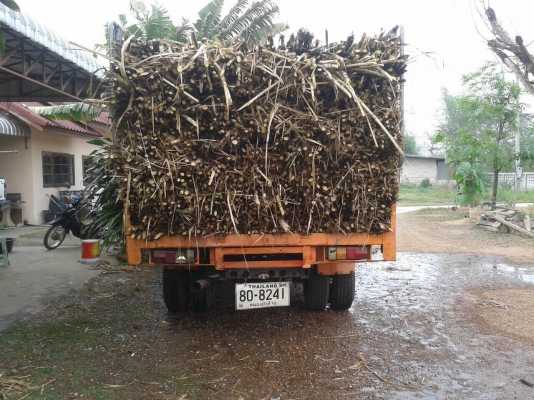 ขาย 6 ล้อ KS เครื่อง 4BD1 ฝาขาว 110 แรงม้า คัสซีสวยจัดตลอดเส้น กระบะเหล็กคอกเหล็ก เกียร์สั้น ทะเบียนเต็มพร้อมโอน ขาย 6 ล้อ KS เครื่อง 4BD1 ฝาขาว 110 แรงม้า คัสซีสวยจัดตลอดเส้น กระบะเหล็กคอกเหล็ก เกียร์สั้น ทะเบียนเต็มพร้อมโอน