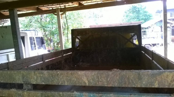 ขาย 6 ล้อดั้มหัวยาว เครื่อง 6BB1 145 แรงม้า คัสซีสวยตลอดเส้น เฟืองท้าย ROCKY ทะเบียนพร้อมโอนครับ ราคาต่อรองได้