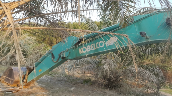 KOBELCO YN10  มีเอกสาร