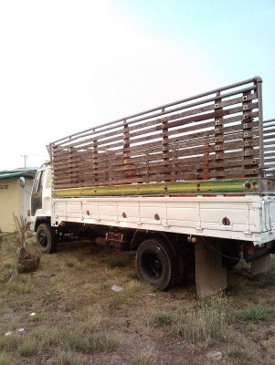 ขาย ISUZU ROCKY 175HP พวงมาลัยเพาเวอร์ ยาว5.50 ยาง825