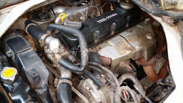 ขายนิสสันแอ็ดลาสดีเซลTD25 ทะเบียนไม่ติดเวลา