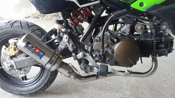 ท่อ แต่งคุณงานภาพงานสวยๆๆ MSx-KSR Zoomer x-PCXคอ-ปลาย.มีหลายรูปทรงให้เลือก