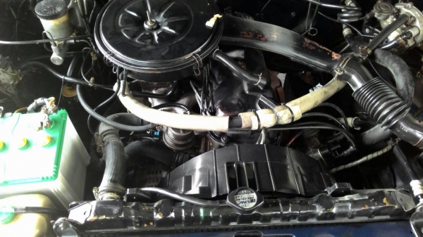 ขาย NISSAN BIG M. ปี96 แค๊ป ขาย NISSAN BIG M. ปี96 แค๊ป