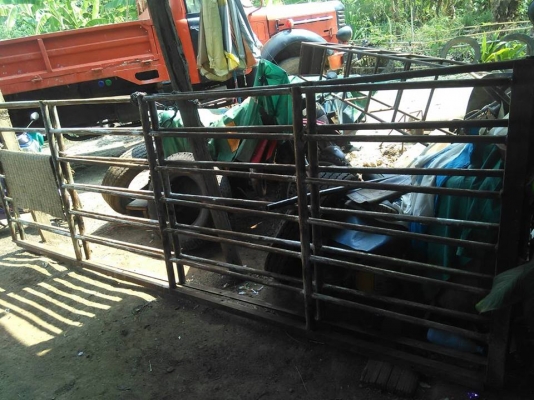 **275,000 บ.ต่อรอง///6ล้อดั้มเกษตร ISUZU-100** ขาย ISUZU TL-100 6ล้อดั้มเกษตร ISUZU TL 4BC2-100แรง เกียร์สั้น แล้ว วางหัวCHEETAH (ลงเล่ม) เครื่อง100แรง ฝาดำ เครื่องดี แรงดี แน่น เกียร์สั้นเข้าง่าย ไม่หลุดครับ ช่วงล่างใหญ่ 6น็อต หน้า-หลัง HINO FC สโลวกลางค