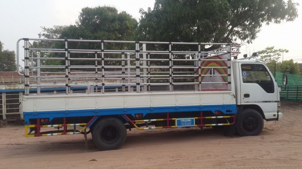 ขาย6ล้อ อีซูซุNPR 130เทอร์โบ5เมตร แชชซีสวย เครื่องดี วิ่งใช้งานน้อย แชชซีสวย สภาพพร้อมใช้งาน แอร์เย็น พ.เพาเวอร์ พร้อมคอกบรรทุก สภาพพร้อมลุยงาน ขาย6ล้อ อีซูซุNPR 130เทอร์โบ5เมตร แชชซีสวย เครื่องดี วิ่งใช้งานน้อย แชชซีสวย สภาพพร้อมใช้งาน แอร์เย็น พ.เพาเวอร์ พร้อมคอกบรรทุก สภาพพร้อมลุยงาน