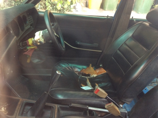 ขาย dutsun b310