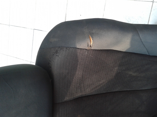 เบาะอีชูชุดีแมกช์ออนิวตัวธรรมดาถอดครับ