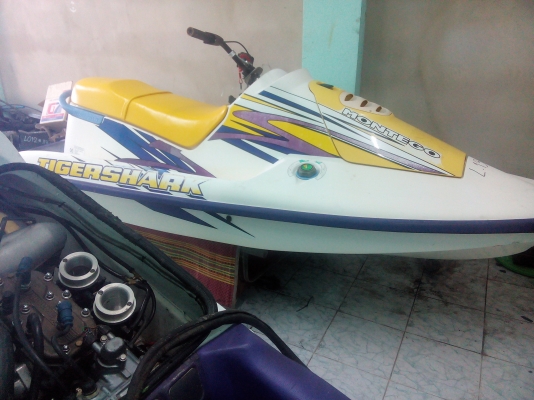 SEADOO SPI - TIGERHARK 650