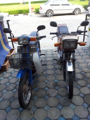 ขายคลาสสิคแพ็คคู่