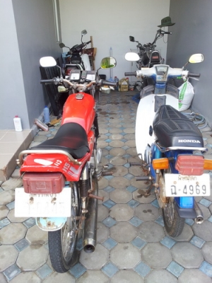 ขายคลาสสิคแพ็คคู่ ขายคลาสสิคแพ็คคู่