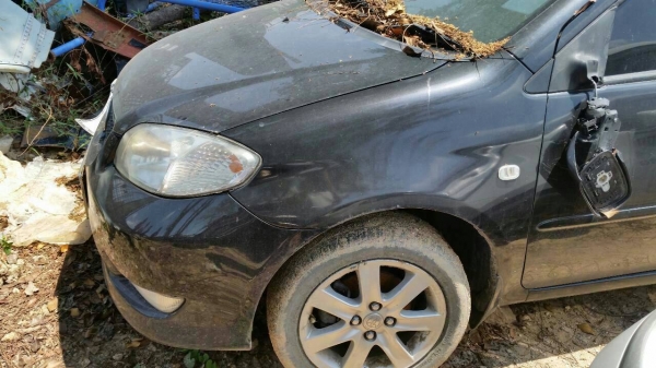 ขายซากพร้อมเล่ม