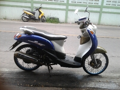 ฟีโน่ปี50