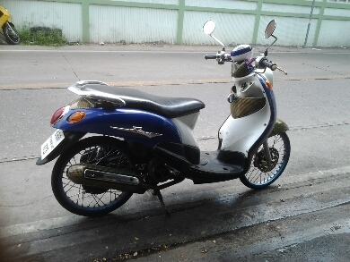ฟีโน่ปี50