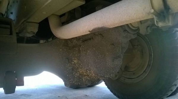 ขาย 10 ล้อดั้ม FM176 วางหัว SUMO 227 เครื่อง EH700 168 แรงม้า สโลว์กลาง พาวเวอร์ เบรคทิฟฟี่ จัดไฟแนนซ์ได้ทั้งงวดเดือน-งวดปีครับ ขาย 10 ล้อดั้ม FM176 วางหัว SUMO 227 เครื่อง EH700 168 แรงม้า สโลว์กลาง พาวเวอร์ เบรคทิฟฟี่ จัดไฟแนนซ์ได้ทั้งงวดเดือน-งวดปีครับ