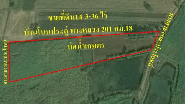 ขายที่ดินติดทางสาธารณะ 14-3-36 ไร่ บ้านโนนประดู่ ราคา 160,000 ต่อไร่  อ.สีคิ้ว