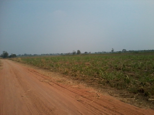 ขายที่ดินติดทางสาธารณะ 14-3-36 ไร่ บ้านโนนประดู่ ราคา 160,000 ต่อไร่  อ.สีคิ้ว