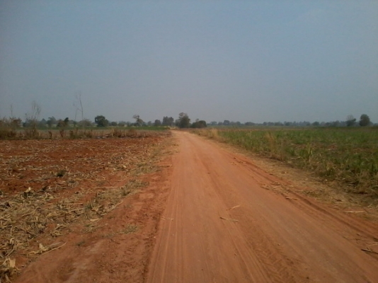 ขายที่ดินติดทางสาธารณะ 14-3-36 ไร่ บ้านโนนประดู่ ราคา 160,000 ต่อไร่  อ.สีคิ้ว