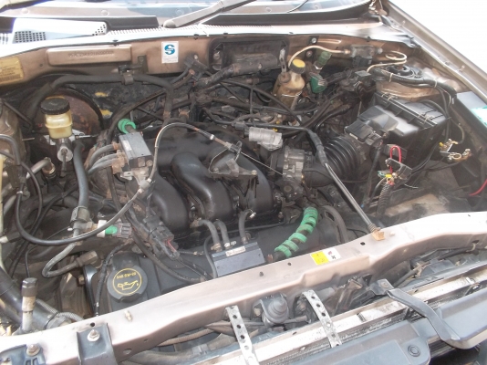 มาสด้าtribute มาสด้าtribute