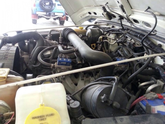 ขายจิ๊บแรงเลอร์