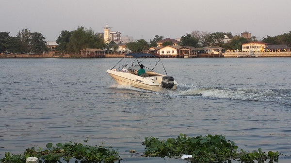 Bayliner Capri 18 ฟุต พร้อมทะเบียน และเทเลอร์