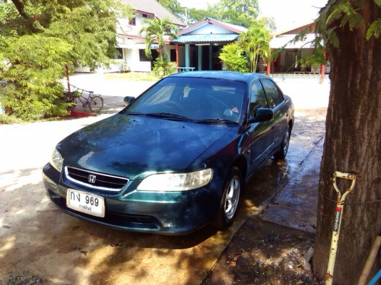 ขาย accord งูเห่าปี 98 เกียร์ ออโต้