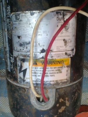 ปั้มน้ำ 2 นิ้ว USA/ 2 นิ้ว  2  แรงอิตาลี