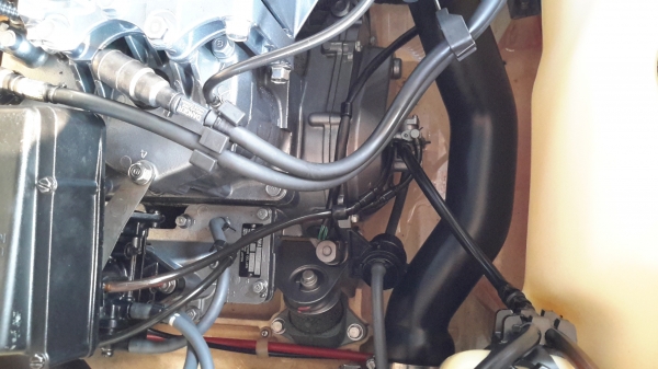 ปลาโอ650สวยๆๆคับ