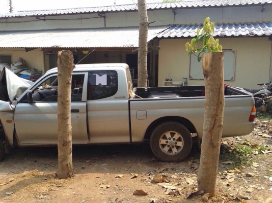 มิตซูสตาร์ดาเเคป เครื่อง2500 สีเทา โอนลอยๆ ปี01 ตัดเเยกเป็นอะไหลได้ทุกอย่าง มิตซูสตาร์ดาเเคป เครื่อง2500 สีเทา โอนลอยๆ ปี01 ตัดเเยกเป็นอะไหลได้ทุกอย่าง