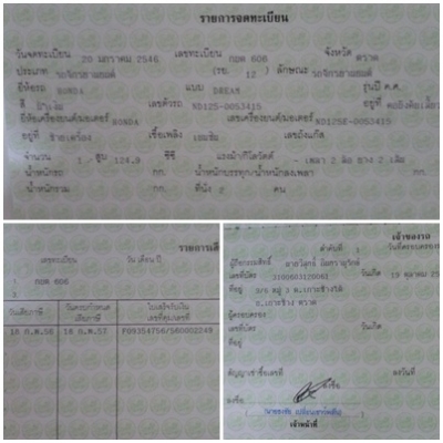 ขาย Dream