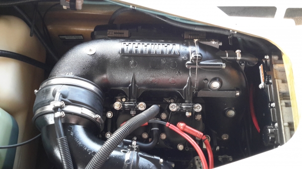 บัสเตอร์3