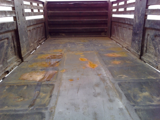 ขายรถบรรทุก10ล้อดั้ม2เพลา MITSUFUSO TURBO จดทะเบียนปี 43 TF 64XX สวยพร้อมใช้เครื่องดีคัสซีสวยทะเบียนเต็ม ขายรถบรรทุก10ล้อดั้ม2เพลา MITSUFUSO TURBO จดทะเบียนปี 43 TF 64XX สวยพร้อมใช้เครื่องดีคัสซีสวยทะเบียนเต็ม