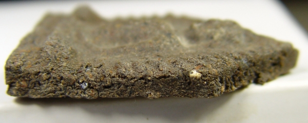 พระให้เช่าไปบูชา