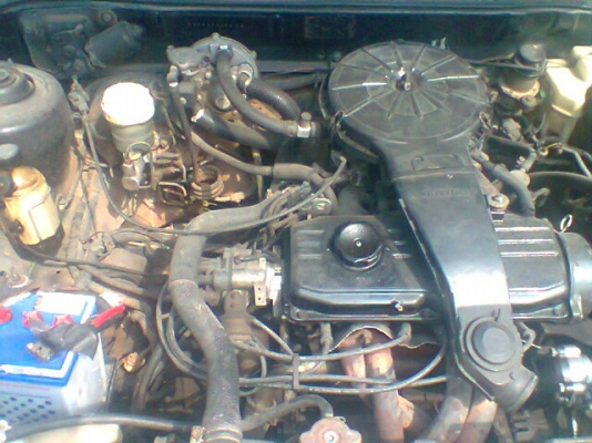 ฉลองตรุษจีน