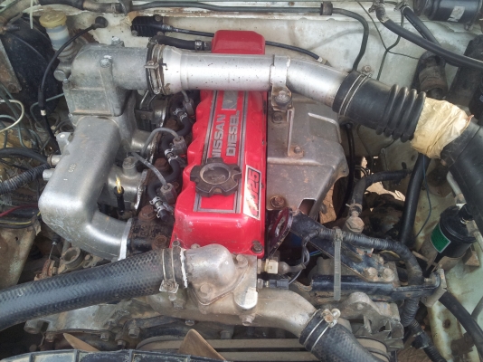 ขายเท่าทุน nissan big m single cab ปี 38 ของดีราคาถูก ขายเท่าทุน nissan big m single cab ปี 38 ของดีราคาถูก