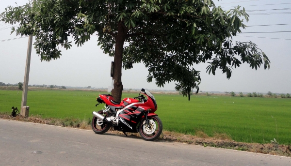 ขายhonda CBR250r MC19 4สูบ ทะเบียนแท้ 50000