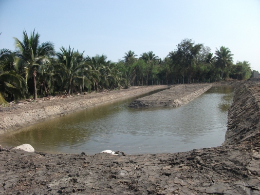 ได้รับเสื้อแล้วครับ (03/09/2013)