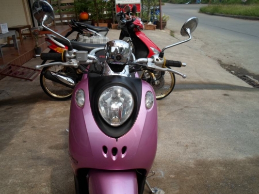 ขาย Fino ปี 51 เครื่องเดิมๆ ไม่ดัง ไม่หอน ยางเบิกใหม่ ภาษีไม่ขาดต่อ ราคา 15,500