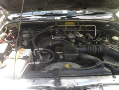 ขาย dragon power 3.0 tripper