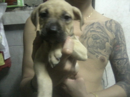 ///ขาย FORD ASPIRE ปี 97 (3Dr) //ชอบเครื่องดีภายในสวยโทรมา