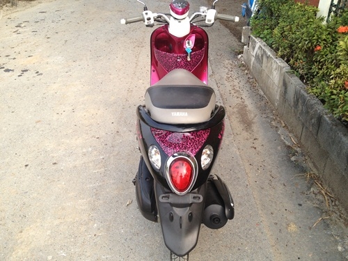 ขายfinoสีชมพูดำ ปี25554