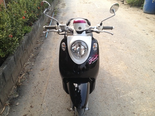 ขายfinoสีชมพูดำ ปี25554