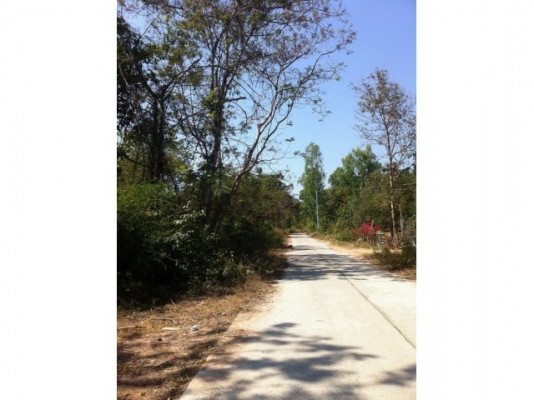 ขายที่ดิน 6 ไร่กว่า