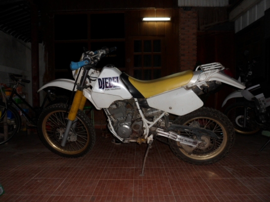 ขาย ซูซูกิ DR 250