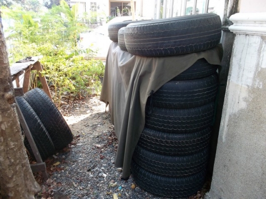 ขายเหมายางมีประมาณ 20 เส้น 2000 บาท ไม่ลดนะครับ